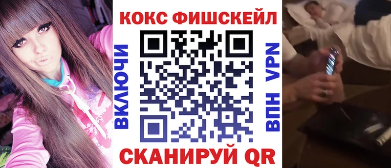 Cocaine FishScale  купить наркотик  Димитровград 