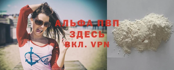 СК Зерноград