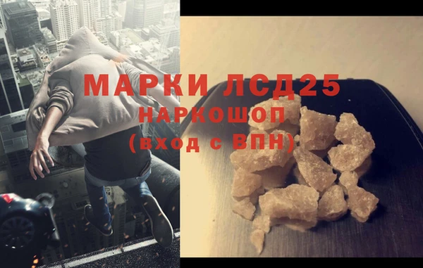 СК Зерноград