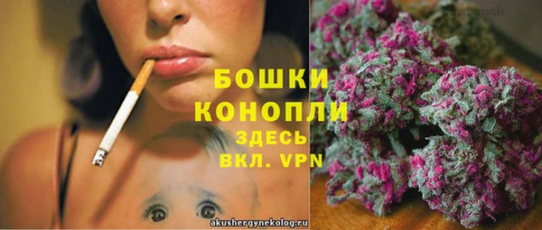 СК Зерноград